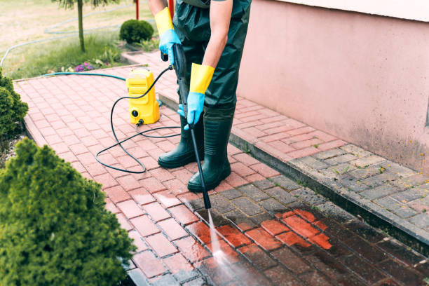 Animal Enclosure Cleaning in Aurora, NE
